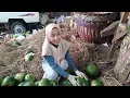 Lagu 🥬🥭🍉🍏alhamdulillah berlimpah buah buahan di sore ini.. Bisa stok untuk beberapa hari 😍😍hemat 🤑