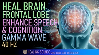 Heal Brain Frontal Lobe Enhance Your Speech Reasoning Problem Solving Skills Gamma Wave 40HZ 