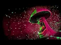 Lagu Best of Infected Mushroom Part 3