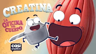 Creatina para tus Músculos o Cerebro? | Casi Creativo