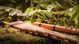  hallelujah beautiful relaxing music by wuauquikuna audio oficial 2021 