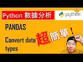 Python Pandas How to convert data types in DataFrame