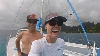 Coral Spawning, Kiteboarding, Frenzied Sharks