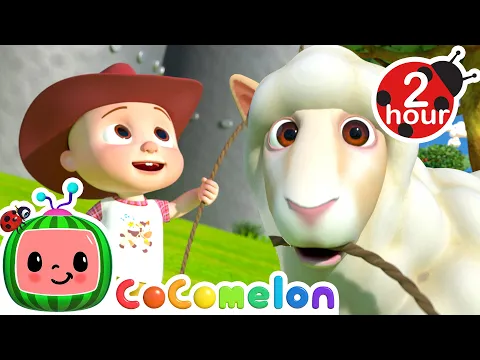 Download MP3 Ba Ba Black Sheep (2024 Version) 🐑 CoComelon - Nursery Rhymes and Kids Songs | After School Club
