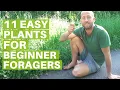 11 Easy Edible Plants for Beginner Foragers - Eating Wild Food