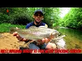 Trout Stocking Has Ended in West Virginia The Fishing Hasn t