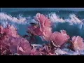 Cranes - Inescapable [drumless + reverb]