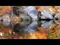 Elyria s Cascade Park ablaze in fall color