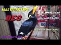 Download Lagu TERAPI masteran burung beo assalamualaikum,BAPA ADA TAMU,KOPI COY