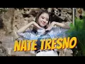 Lagu VIA AMELIA -  NATE TRESNO ( Official Music Video )