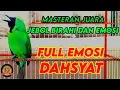 Download Lagu Pancingan Cucak Ijo Gacor Isian \u0026 Tembakan Rapat! Ijo Yang Muda \u0026 Dewasa Langsung Emosi Bisa Jamtrok