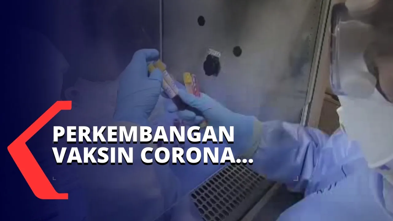 Jadi yang Pertama! Presiden Joko Widodo Disuntik Vaksin Corona Sinovac. 
