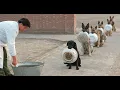 Ch 11 basics and Pr 1 Waiting Line or Queuing