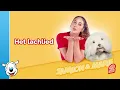 Download Lagu Samson \u0026 Marie Lyrics: Het lachlied