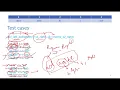 Palindrome Pairs Leetcode 336 Live coding session