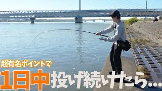 超人気ポイントで1日釣りすればシーバスなんて余裕で釣れる説！！