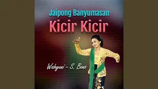 kicir kicir