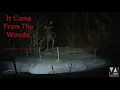 [No Copyright Music] It Came From The Woods | Horror Music | Royalty Free Music | DARK MUSIC