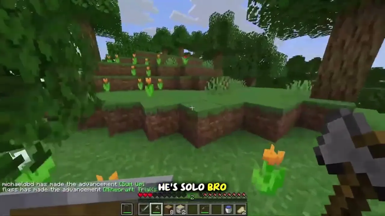 Minecraft Gameplay Portifolio