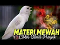 Download Lagu KENARI MATERI MEWAH - MASTERAN KENARI ISIAN CIBLEK PRENJAK GLATIK