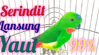 Download serindit 99% lansung yaut MP3