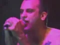 screeching weasel - science of myth