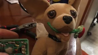 Taco Bell Chihuahua Dogs Plush vintage Toy sneak peak How to replace batteries coming