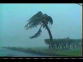 Călin Cyfer - Call it Stormy Monday by T-Bone Walker