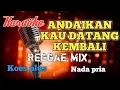 Download Lagu Andaikan kau datang kembali Reggae mix karaoke nada pria