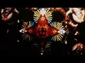 Fingertips - The Brian Jonestown Massacre