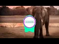 Matisse&Sadko ft Swedish red elephant-Mystery(magnificence remix)