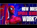 How Spider-Man s Spider Sense Works