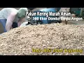 Download Lagu Pakan Kering Berkualitas Aman Breeding dan Fattening, simak ilmunya sang pakar