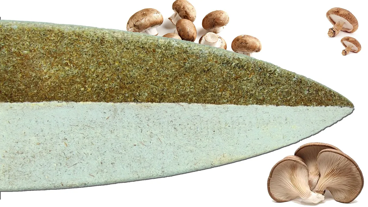 An Environmental Game Changer in Water Sports: Mushroom Surfboards