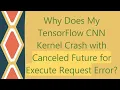 Why Does My TensorFlow CNN Kernel Crash with Canceled Future for Execute Request Error