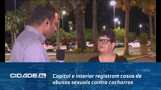 zoofilia capital e interior registram casos de abusos sexuais contra cachorros