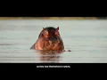 Explore Limpopo | Limpopo Tourism Agency