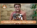 Lindsey s F1 Cavapoo Litter Update