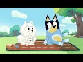 Seesaw | Full Episode | Bluey