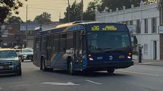 MTA Q36 Bus Via Little Neck