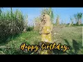 VIDEO UCAPAN ULANGTAHUN UNTUK SUAMI ll Happy Birthday Ayah. 7 Agustus
