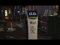 New robot employee turning heads at Solon entertainment complex