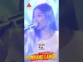 Download Lagu Meme Paramita Kembang Langit
