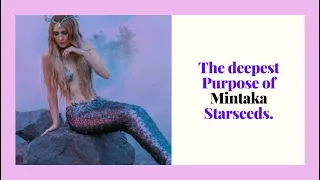 this podcast will change your life deep purpose of mintaka starseeds 