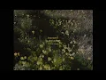 Heat Waves (Ambient Cover)