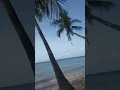 ong lang beach phu quoc New 2022 Phu Quoc Island Beach - Ong Lang Beach - #Shorts