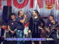 Download Lagu Elsa Safira - Tresno Marang Rondo | Dangdut (Official Music Video)