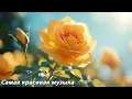 Download Lagu Лучшие мелодии в мире🌿Музыка для души, для спокойного дня🌿Музыка Сергея Грищука