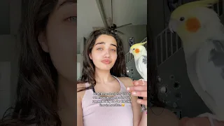 MY BIRD FINALLY REMEMBERS ME Cried 