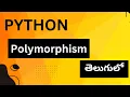 6 2 Polymorphism In Python Python Programming